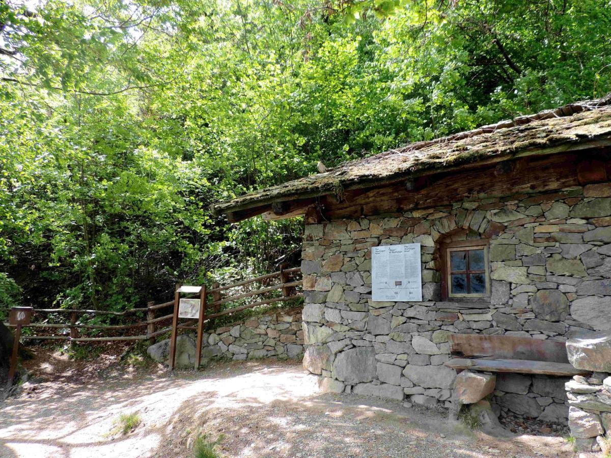 Boutique Appartamento Bacchus Marlengo Εξωτερικό φωτογραφία